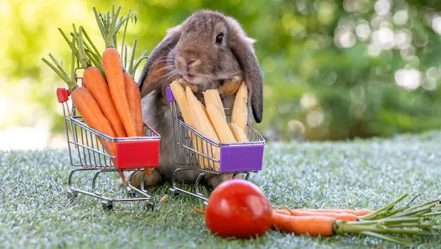 Пасхальные покупки в Вене: где найти открытые пекарни и супермаркеты